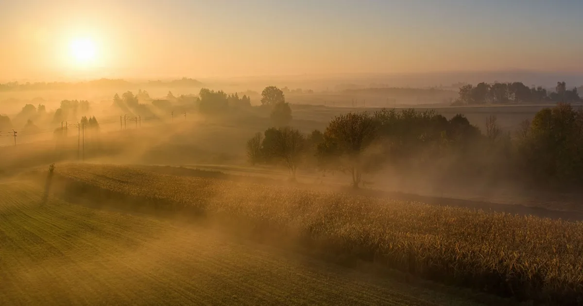 Wschód słońca nad polem, symbol nowego etapu kojarzonego z 888