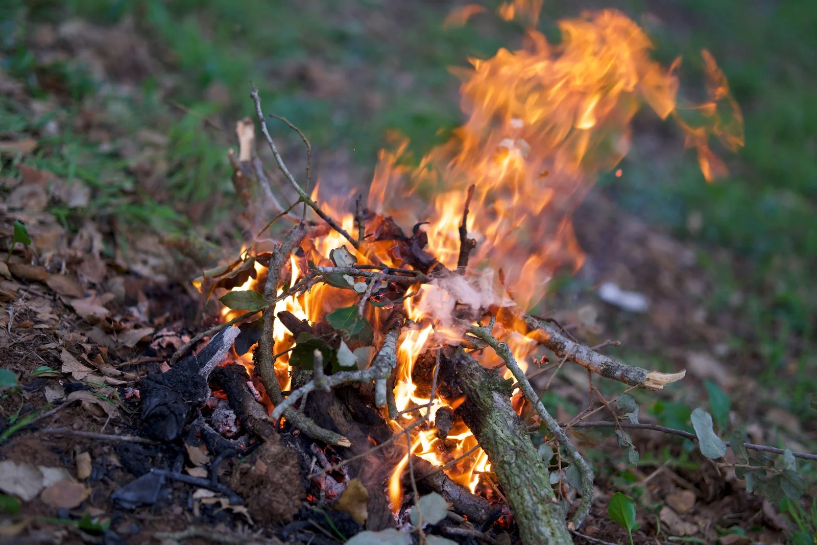 Znaki ognia vs ziemi: różnice w temperamentach i stylu życia